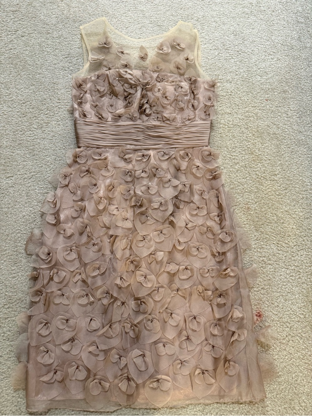 JS Collections Blush Floral Appliqué Tulle Dress
